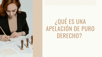 apelacion de puro derecho