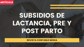 subsidios lactancia y maternidad