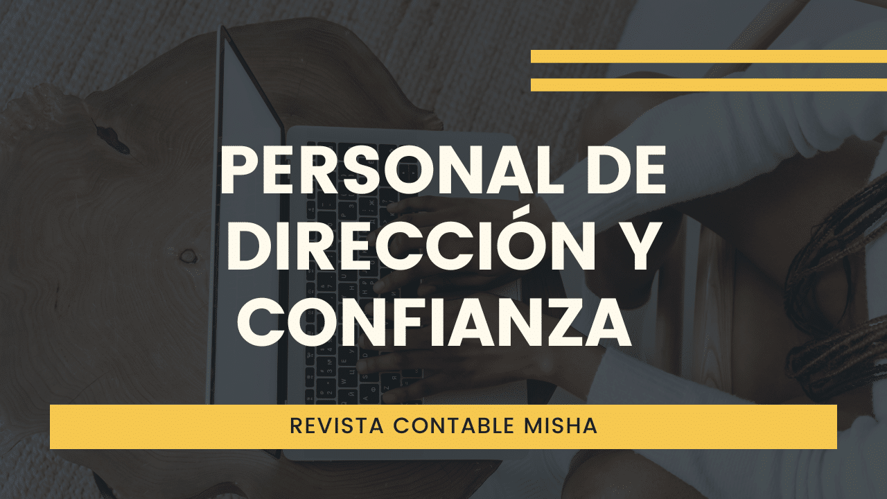 Personal de Dirección y Confianza [SUNAFIL] - Noticiero Contable