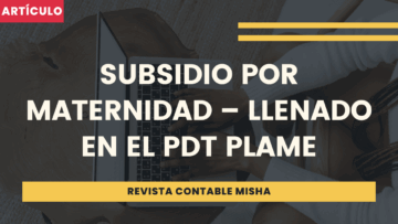 subsidio por maternidad