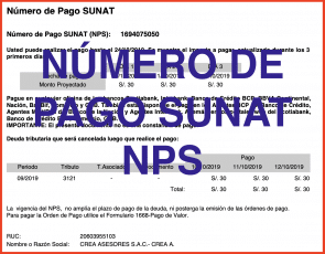 NPS SUNAT