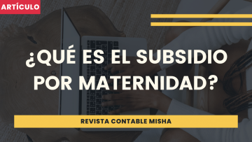 que es el subsidio maternidad