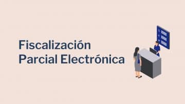 Fiscalizacion Parcial Electronica