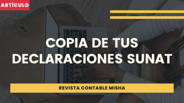 copia declaraciones SUNAT