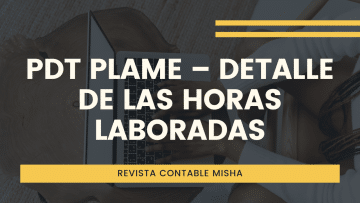 detalle de horas laboradas