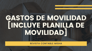 gastos planilla de movilidad