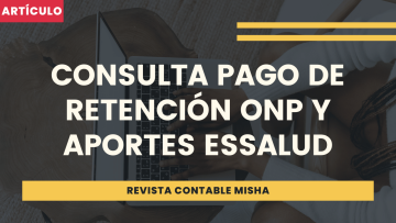consulta pago retenciones essalud onp