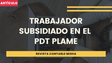 Trabajador Subsidiado PDT PLAME