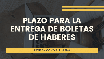 plazo entregar boletas haberes