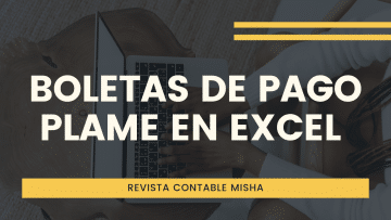 boleta haberes plame