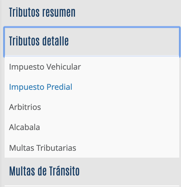 virtual SAT