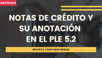 notas credito PLE