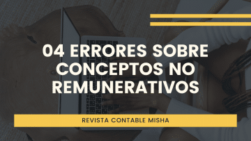 errores sobre conceptos no remunerativos