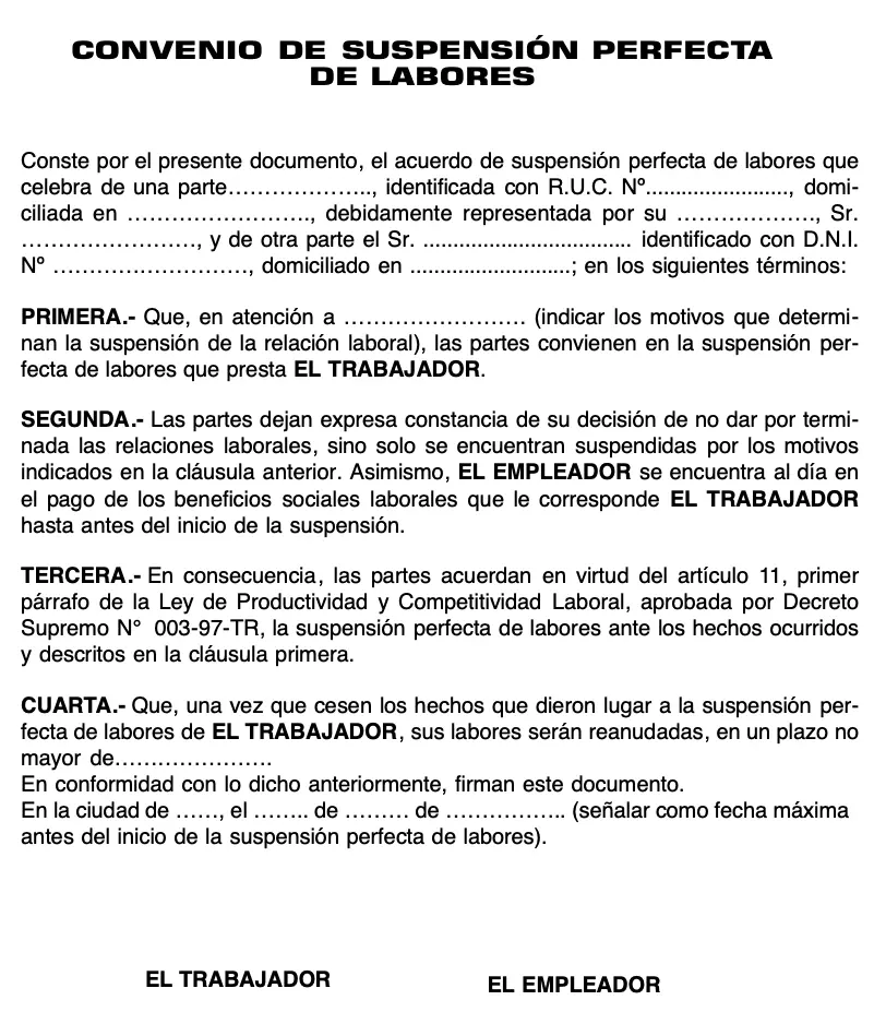 Modelo-de-Suspension-Perfecta-de-Labores
