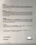 Contrato de Trabajo Mcdonald's - Noticiero Contable