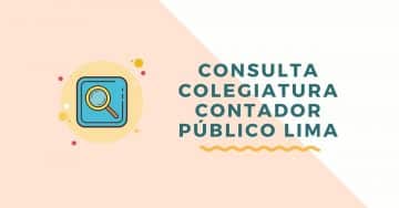 Habilidad de Contadores Publicos Colegiados de Lima