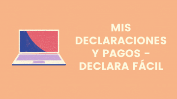 Mis Declaraciones y Pagos - Declara Facil