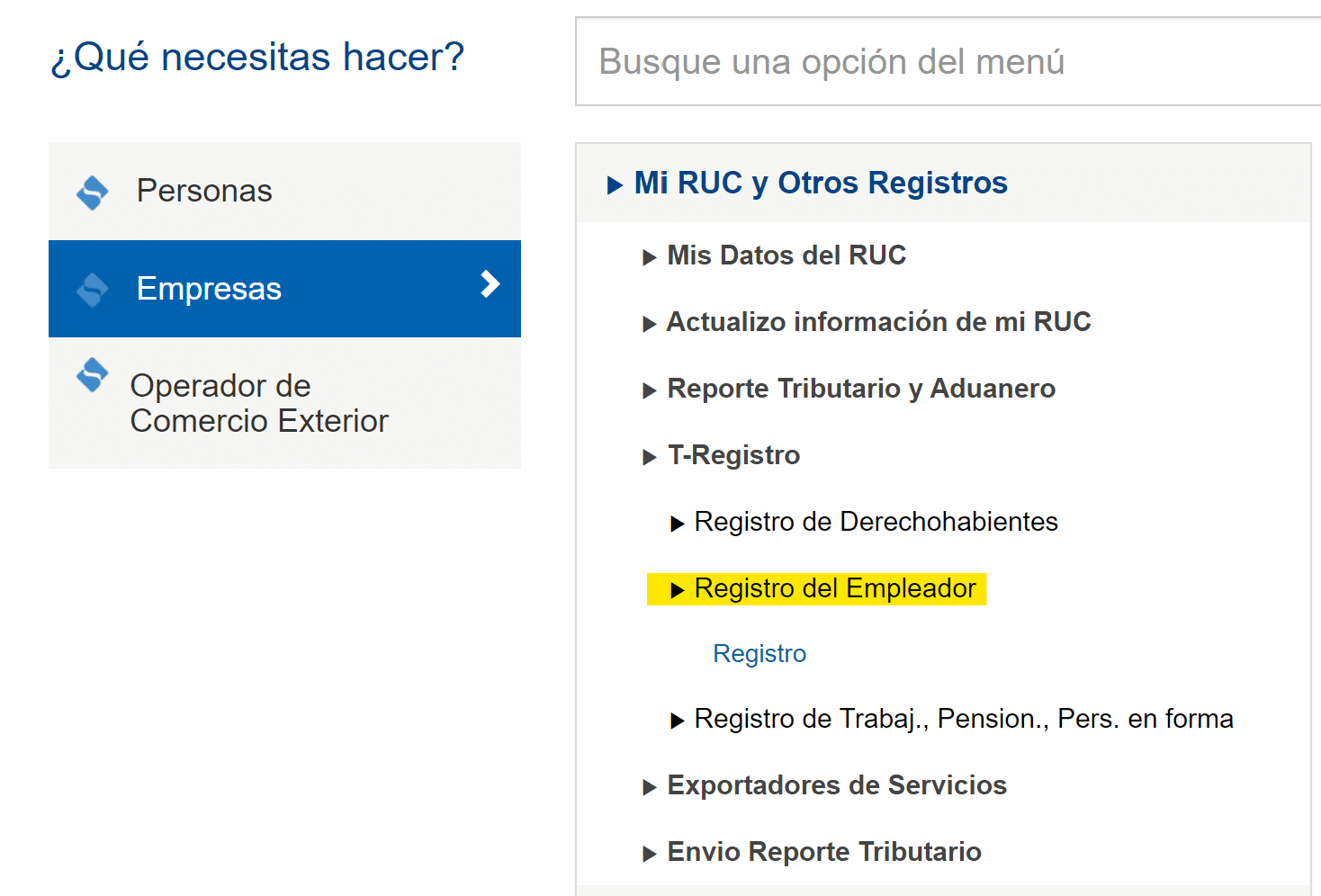 Modulo Empleador T-Registro - SCTR