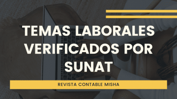temas laborados verificados SUNAT