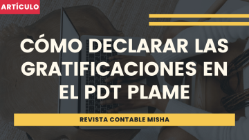gratificaciones PDT PLAME