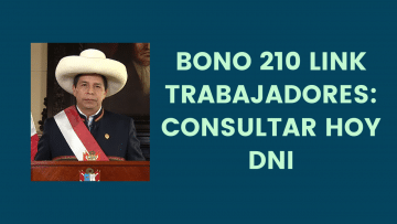 Bono 210 LINK trabajadores- Consultar HOY DNI