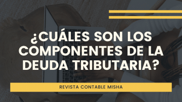 componentes deuda tributaria