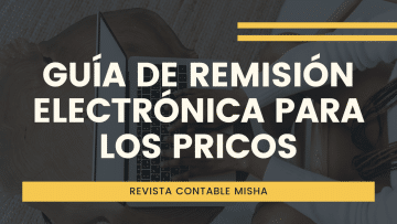 guia remision electronica PRICOS
