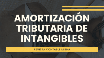 Amortizacion de Intagibles Tributario