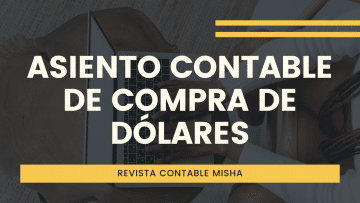 asiento contable compra dolares casa cambio