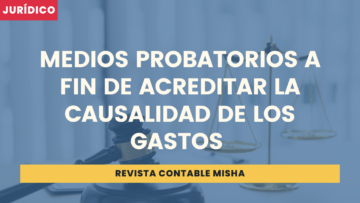 medio probatorio causalidad gastos