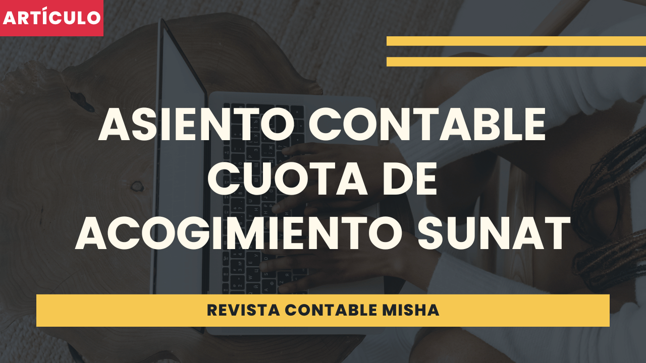 Asientos Contables - Ejemplos Y Recursos Para El Registro Contable