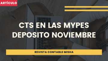cts en las mypes