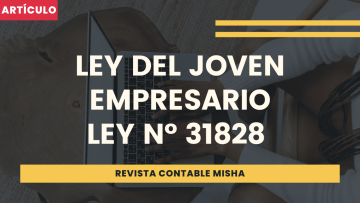 ley de joven empresario