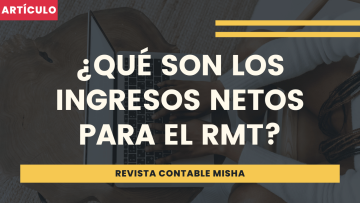 que son los ingresos netos