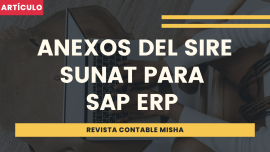 anexos del SIRE SAP ERP