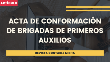 acta de conformacion de brigadas
