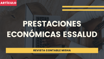 prestaciones economicas essalud