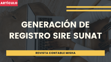 generacion registro sunat