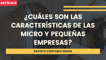 caracteristicas micro y pequeña empresa