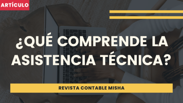 que comprende la asistencia tecnica