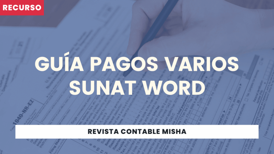Guía Pagos Varios SUNAT Word