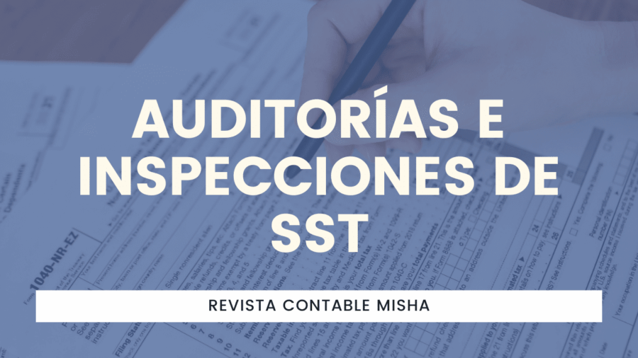 Auditorías e Inspecciones de SST