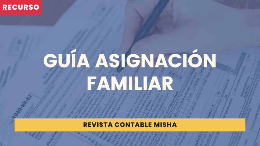 Guía Asignación Familiar