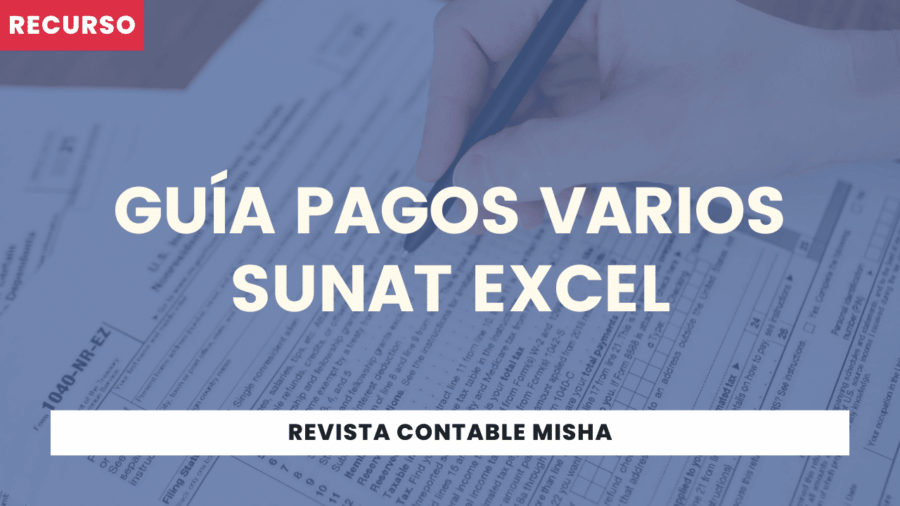 Guía Pagos Varios SUNAT Excel