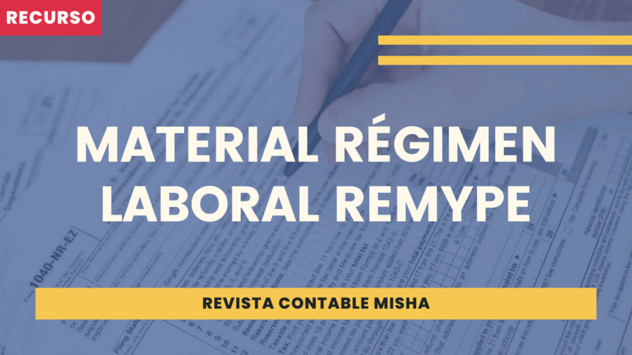 Material Régimen Laboral REMYPE