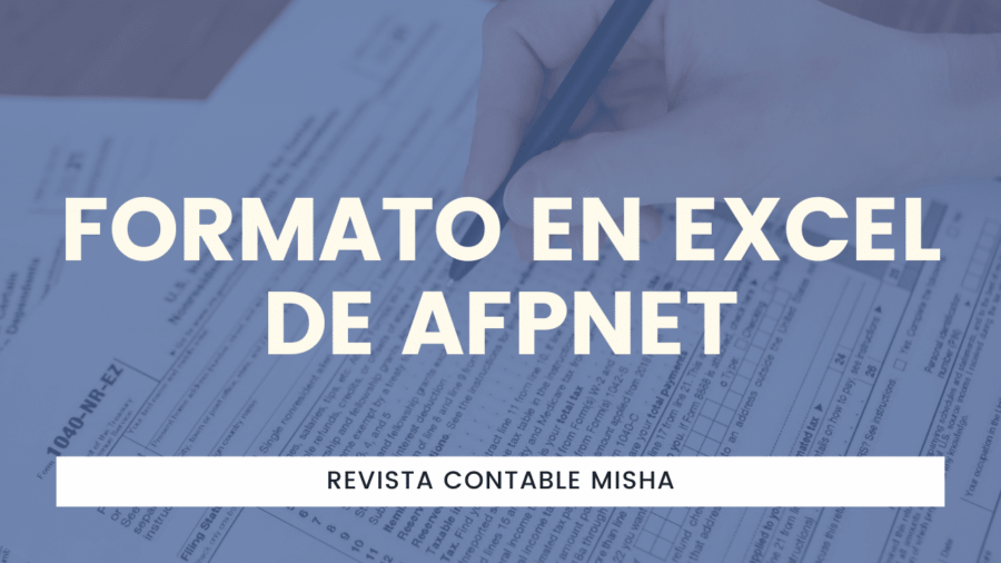 Formato en Excel de AFPNET