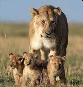 Frase 12.07.2023 Frase 12.07.2023