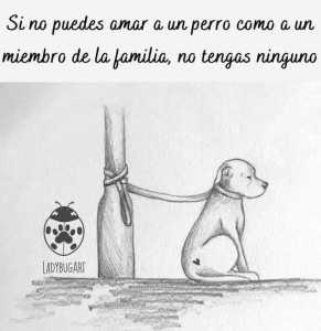 Frase 25.09.2023 Frase 25.09.2023